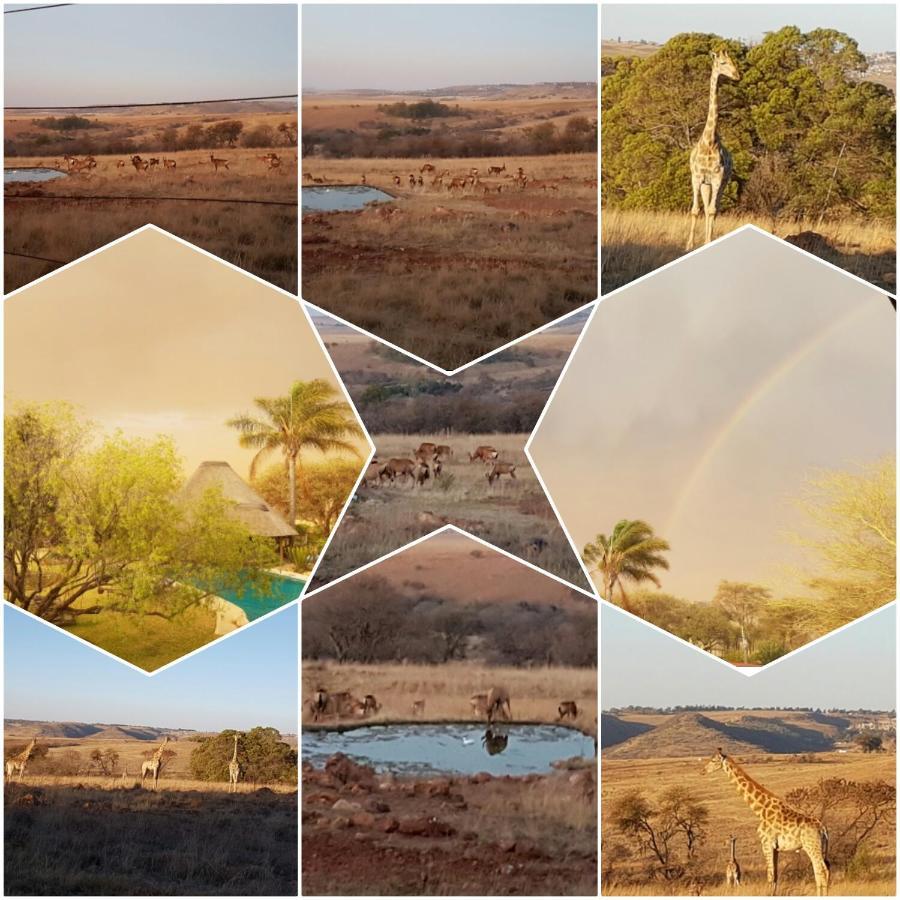 Rocky Aloe Escape Villa Krugersdorp Eksteriør billede